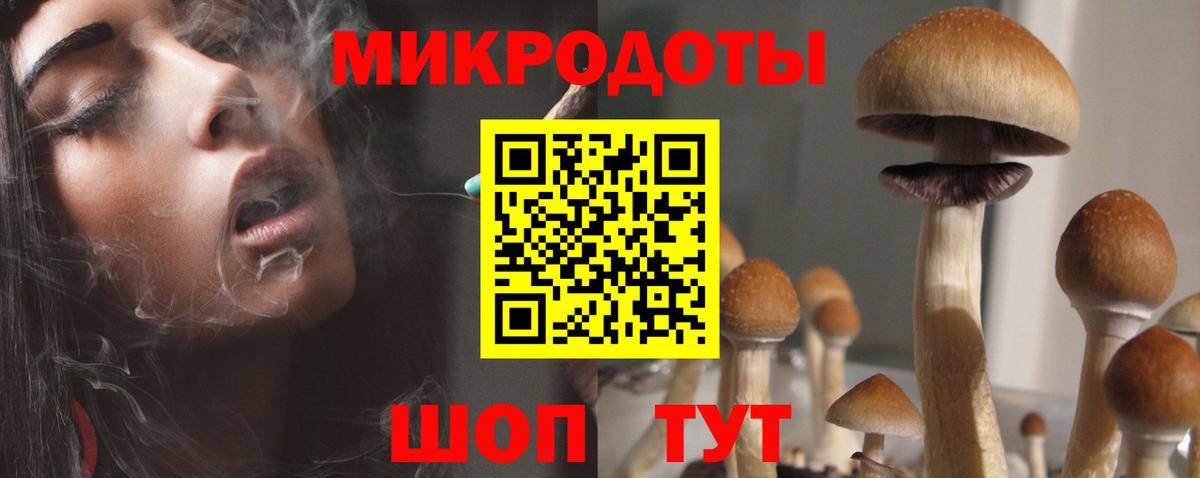 Галлюциногенные грибы Psilocybine cubensis Дедовск